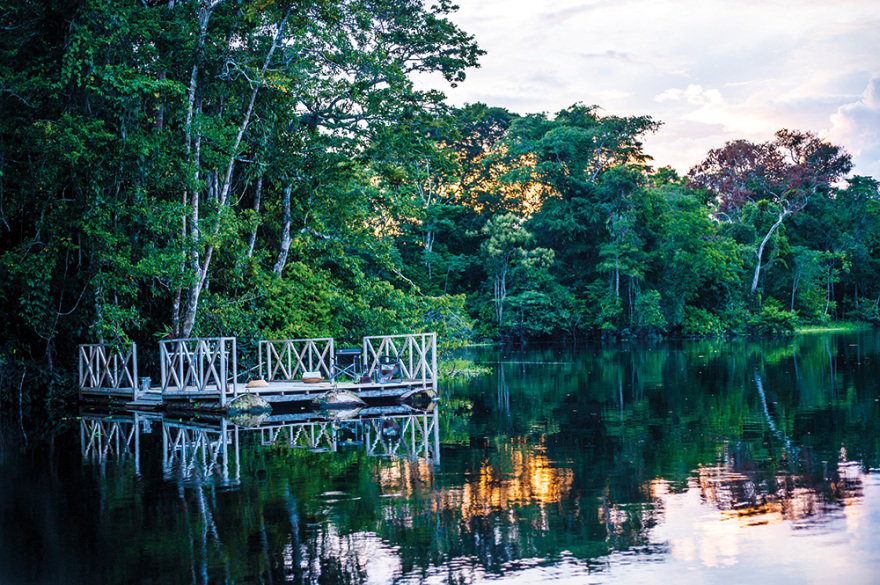 Κρουαζιέρες πολυτελείας στη... ζούγκλα του Αμαζονίου
