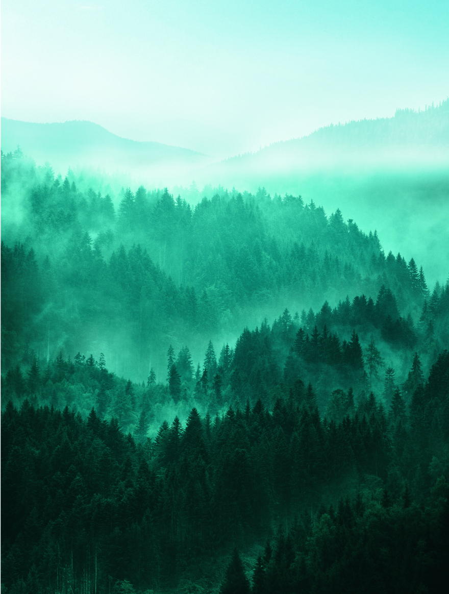 Νερό από τις πιο αγνές πηγές του κόσμου!