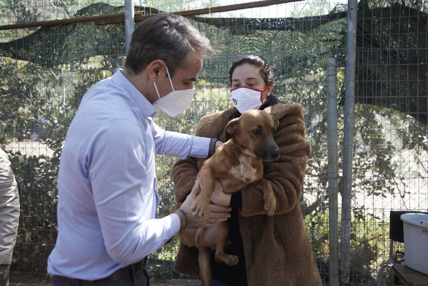 Κυριάκος Μητσοτάκης: Υιοθέτησε σκυλάκι από καταφύγιο που επισκέφθηκε - Δείτε τον υπέροχο «Πίνατ»