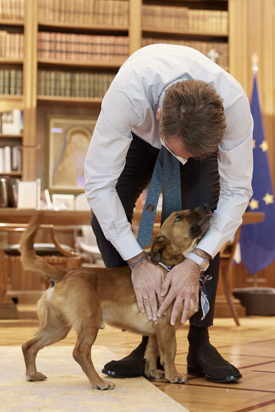 Κυριάκος Μητσοτάκης: Υιοθέτησε σκυλάκι από καταφύγιο που επισκέφθηκε - Δείτε τον υπέροχο «Πίνατ»