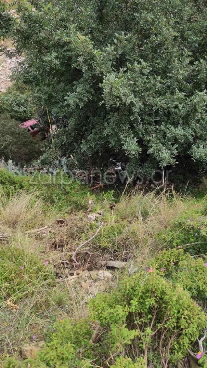 Τροχαίο στον ΒΟΑΚ: Σε κρίσιμη κατάσταση η 32χρονη - Άντεξε 4-5 ημέρες με διαλυμένη σπλήνα