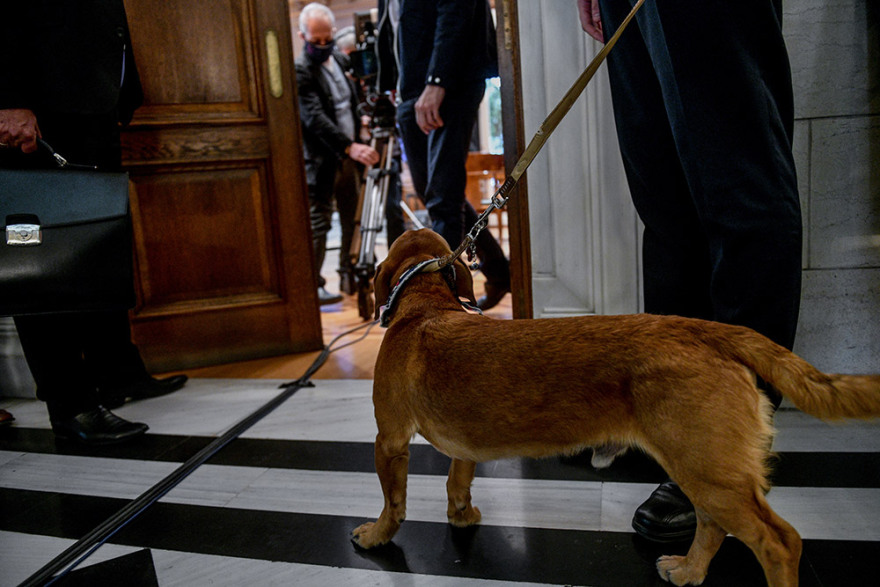 Η πρώτη επίσημη εμφάνιση του Peanut στο Μέγαρο Μαξίμου - Δείτε φωτογραφίες