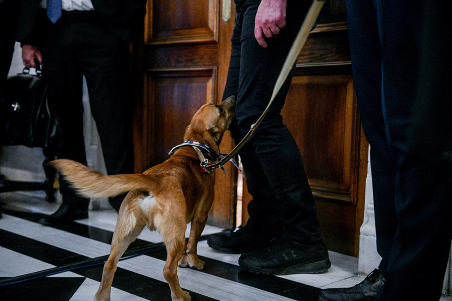 Η πρώτη επίσημη εμφάνιση του Peanut στο Μέγαρο Μαξίμου - Δείτε φωτογραφίες