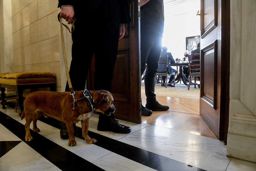 Η πρώτη επίσημη εμφάνιση του Peanut στο Μέγαρο Μαξίμου - Δείτε φωτογραφίες