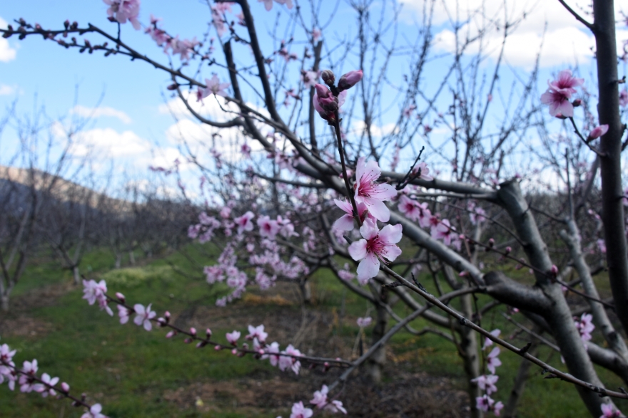 Καιρός - Έκτακτο δελτίο  καιρού: Πού θα σημειωθούν ισχυρές βροχοπτώσεις - Δείτε χάρτη