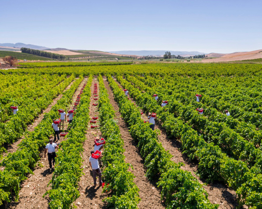 Dolce & Gabbana: Η λατρεία για τη Σικελία, η Donna της καρδιάς τους και το «θαύμα» της Αίτνας