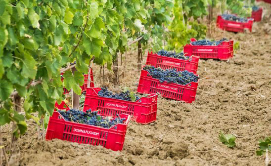 Dolce & Gabbana: Η λατρεία για τη Σικελία, η Donna της καρδιάς τους και το «θαύμα» της Αίτνας