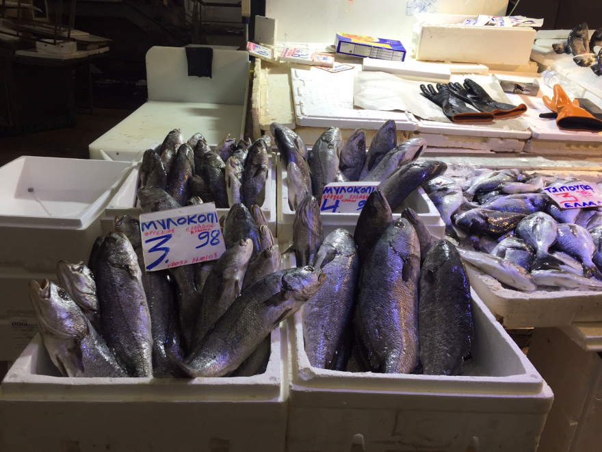 Βαρβάκειος - Πασχαλινές αγορές: Αύξηση 10% στα κρέατα, ξεπούλησαν σήμερα  οι ιχθυοπαραγωγοί - Δείτε βίντεο, φωτογραφίες