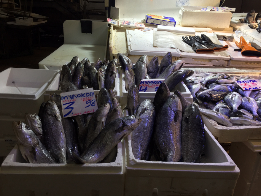 Βαρβάκειος - Πασχαλινές αγορές: Αύξηση 10% στα κρέατα, ξεπούλησαν σήμερα  οι ιχθυοπαραγωγοί - Δείτε βίντεο, φωτογραφίες