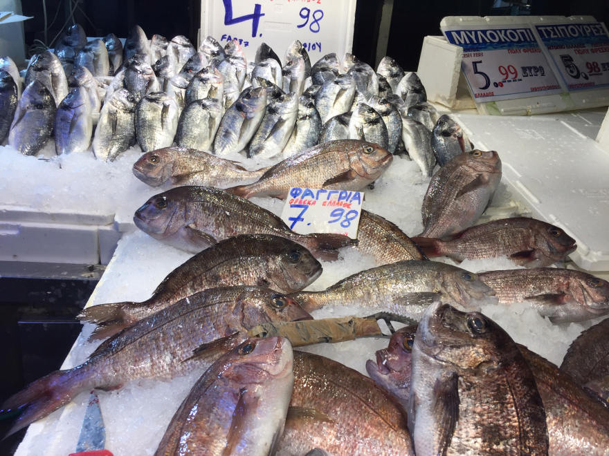 Βαρβάκειος - Πασχαλινές αγορές: Αύξηση 10% στα κρέατα, ξεπούλησαν σήμερα  οι ιχθυοπαραγωγοί - Δείτε βίντεο, φωτογραφίες
