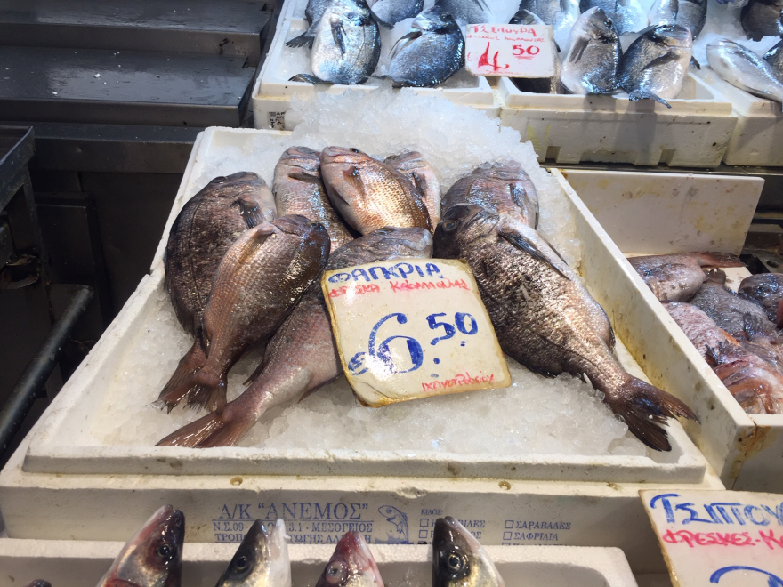 Βαρβάκειος - Πασχαλινές αγορές: Αύξηση 10% στα κρέατα, ξεπούλησαν σήμερα  οι ιχθυοπαραγωγοί - Δείτε βίντεο, φωτογραφίες