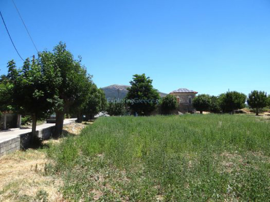 1826: Η νίκη των Ελλήνων επί του Ιμπραήμ στο Μεχμέταγα  και η καταστροφική δράση του Αιγύπτιου στον Μοριά