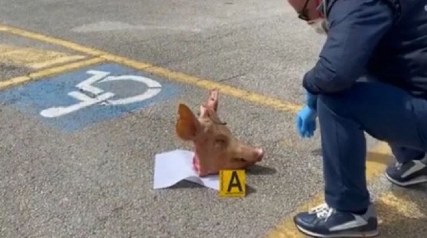  Οι οπαδοί της Μπάρι απειλούν τους παίκτες με κομμένο κεφάλι γουρουνιού: «Θα έχετε το ίδιο τέλος» 