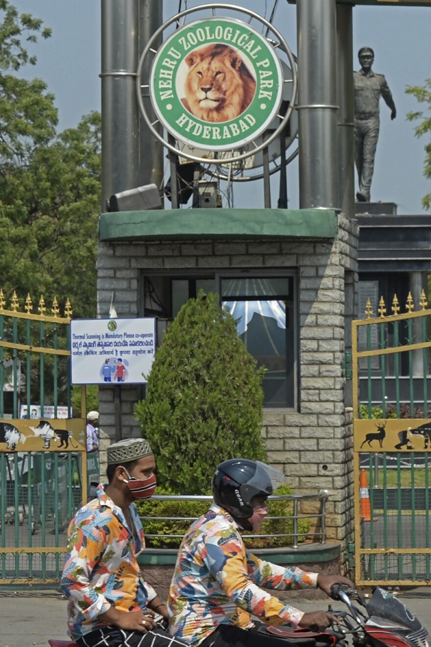 Ινδία: Θετικά στον κορωνοϊό οκτώ λιοντάρια σε ζωολογικό κήπο