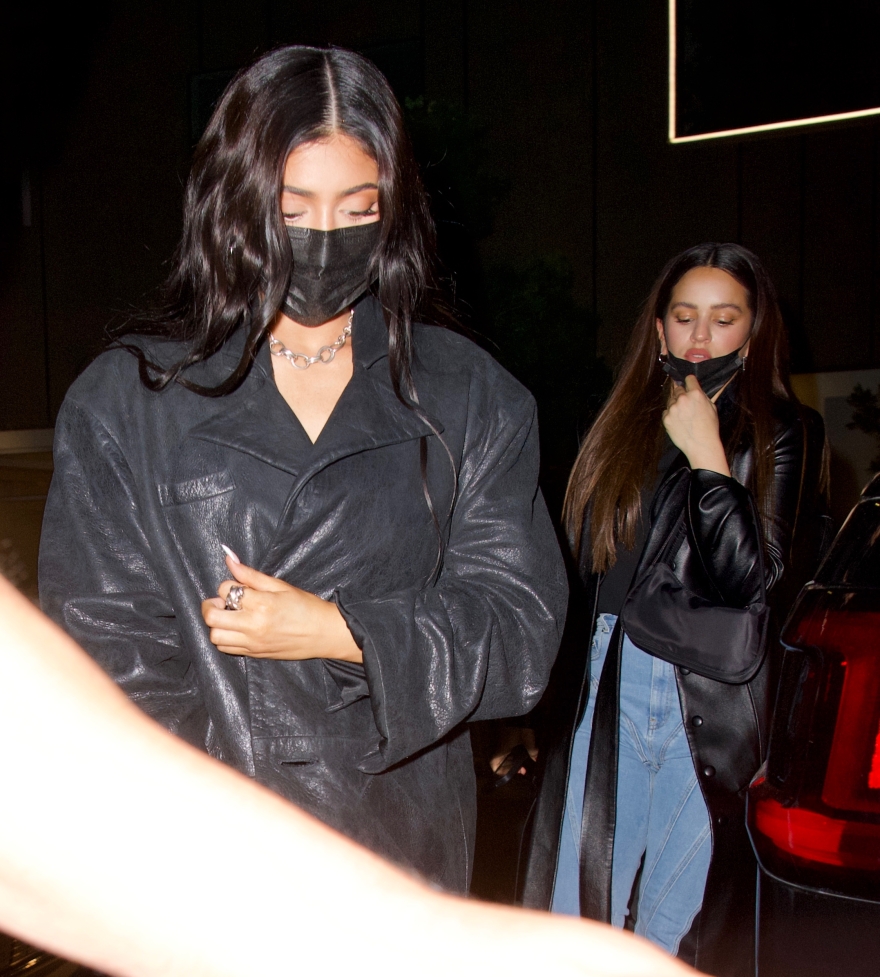 Κάιλι Τζένερ: Για δείπνο με τις φίλες της, Αναστασία Καρανικολάου και Ροσαλία - Δείτε φωτογραφίες