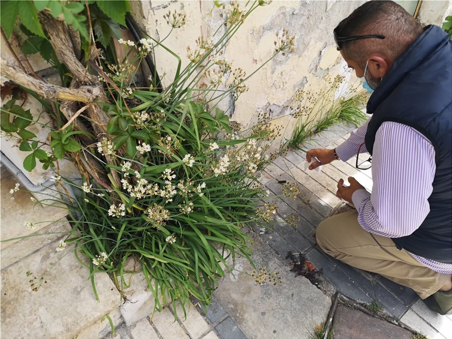 Δολοφονία στη Ζάκυνθο: Το «βαρύ παρελθόν» του επιχειρηματία - Ποιους φοβόταν - Πού ερευνούν οι Αρχές 