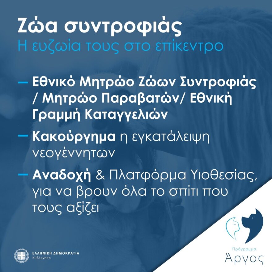 Ζώα συντροφιάς: Αυτό είναι το νομοσχέδιο – Όσα πρέπει να γνωρίζετε σε 18 ερωταπαντήσεις