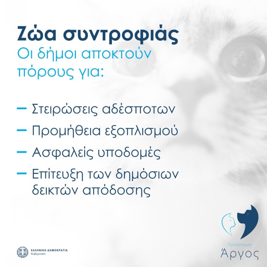 Ζώα συντροφιάς: Αυτό είναι το νομοσχέδιο – Όσα πρέπει να γνωρίζετε σε 18 ερωταπαντήσεις