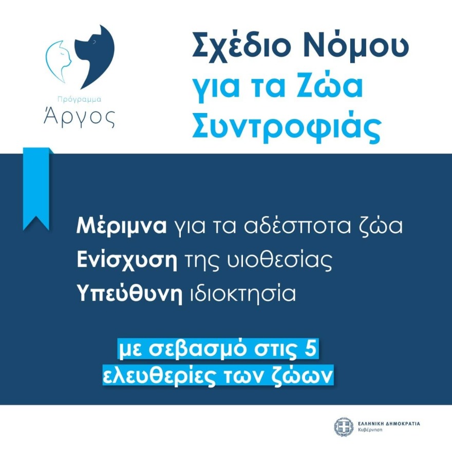 Ζώα συντροφιάς: Αυτό είναι το νομοσχέδιο – Όσα πρέπει να γνωρίζετε σε 18 ερωταπαντήσεις