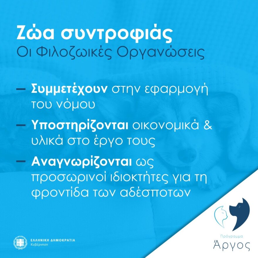 Ζώα συντροφιάς: Αυτό είναι το νομοσχέδιο – Όσα πρέπει να γνωρίζετε σε 18 ερωταπαντήσεις