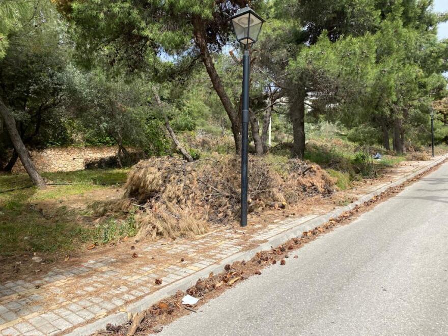 Τα κλαδιά κινδυνεύουν να γίνουν «προσάναμμα» και ο Δήμαρχος Κηφισιάς, Γιώργος Θωμάκος αγρόν αγοράζει