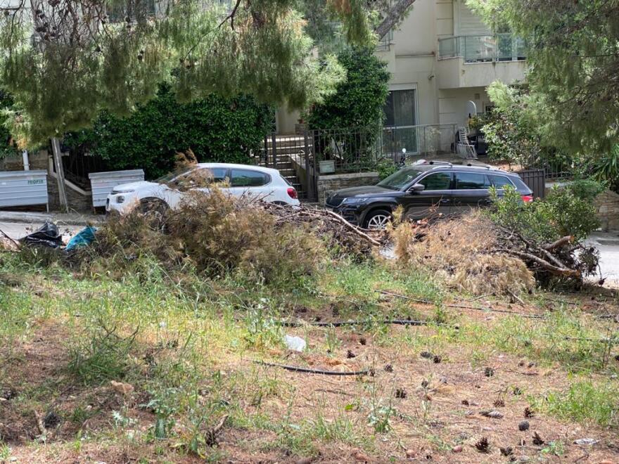 Τα κλαδιά κινδυνεύουν να γίνουν «προσάναμμα» και ο Δήμαρχος Κηφισιάς, Γιώργος Θωμάκος αγρόν αγοράζει