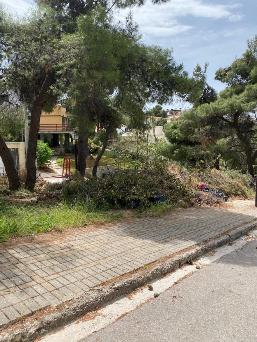 Τα κλαδιά κινδυνεύουν να γίνουν «προσάναμμα» και ο Δήμαρχος Κηφισιάς, Γιώργος Θωμάκος αγρόν αγοράζει