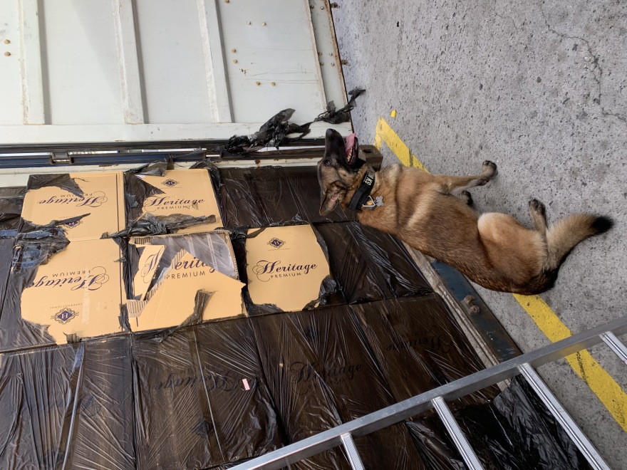 ΑΑΔΕ: Στα «δίχτυα» της 35 κοντέινερ λαθραία τσιγάρα - Από τις μεγαλύτερες υποθέσεις στην Ευρώπη 