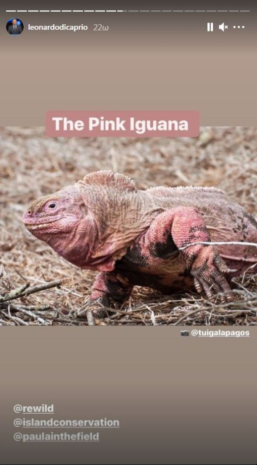 Λεονάρντο Ντι Κάπριο: Δίνει 43 εκατ. δολάρια για τη διάσωση του φυσικού περιβάλλοντος στα νησιά Γκαλαπάγκος