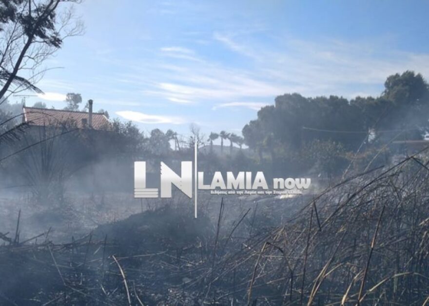 Φωτιά σε κατοικημένη περιοχή στην Τραγάνα Φθιώτιδας