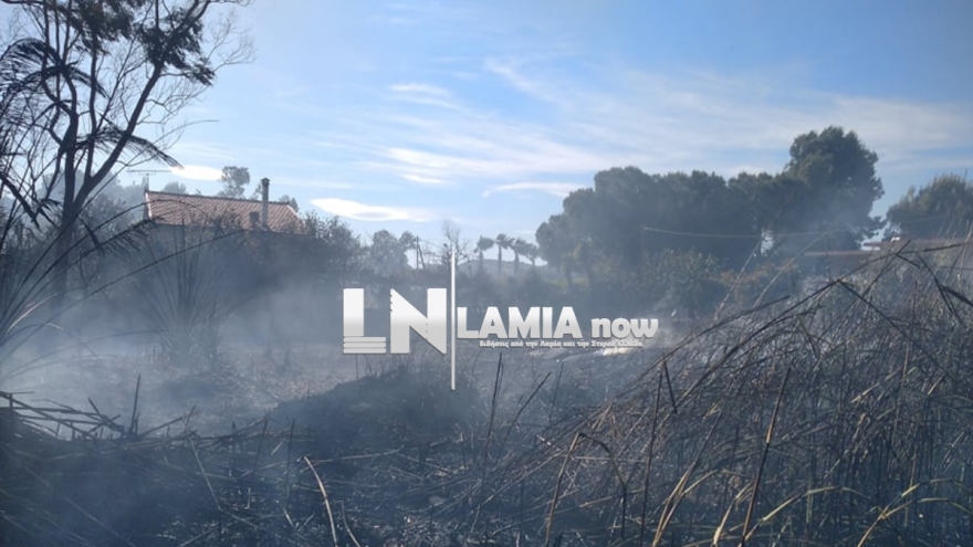 Φωτιά σε κατοικημένη περιοχή στην Τραγάνα Φθιώτιδας