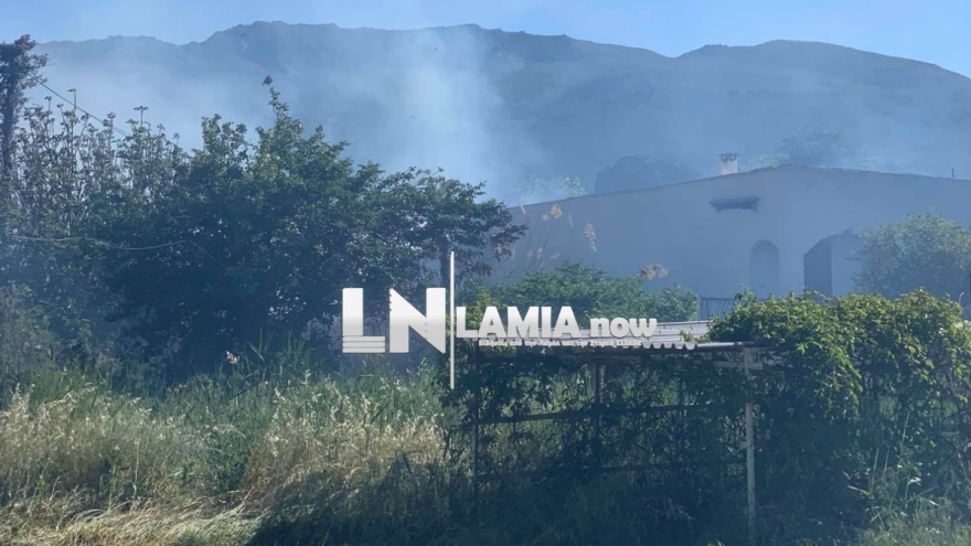 Φωτιά σε κατοικημένη περιοχή στην Τραγάνα Φθιώτιδας