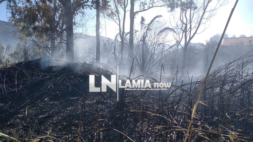 Φωτιά σε κατοικημένη περιοχή στην Τραγάνα Φθιώτιδας