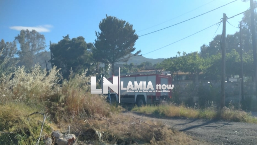 Φωτιά σε κατοικημένη περιοχή στην Τραγάνα Φθιώτιδας