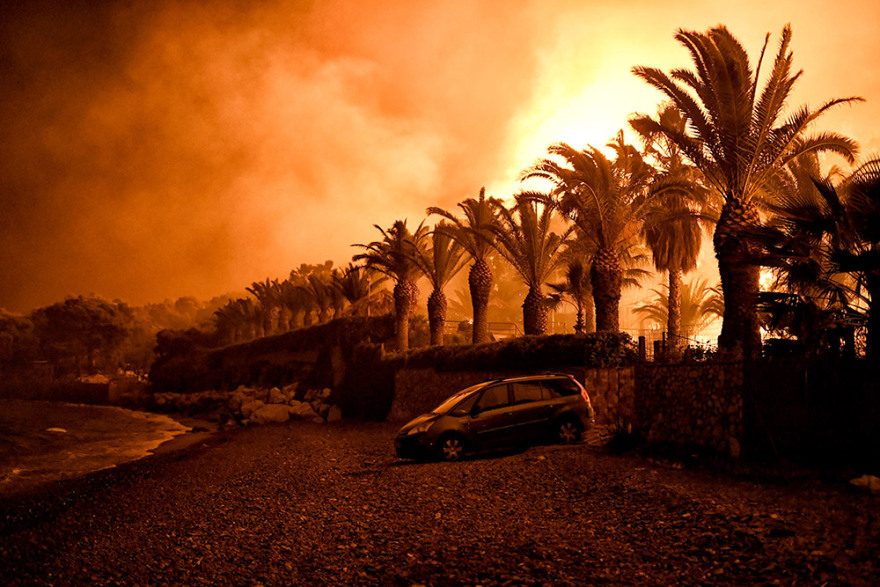 Εικόνες καταστροφής από τη φωτιά στον Σχίνο Κορινθίας - «Ζήσαμε τον απόλυτο εφιάλτη», λένε οι κάτοικοι 