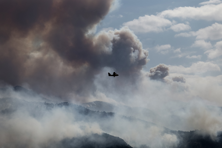 Χαρδαλιάς: Από καύση υλικών σε ελαιώνα ξεκίνησε η φωτιά στον Σχίνο