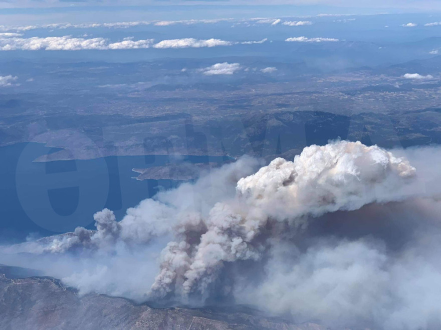 Χαρδαλιάς: Από καύση υλικών σε ελαιώνα ξεκίνησε η φωτιά στον Σχίνο