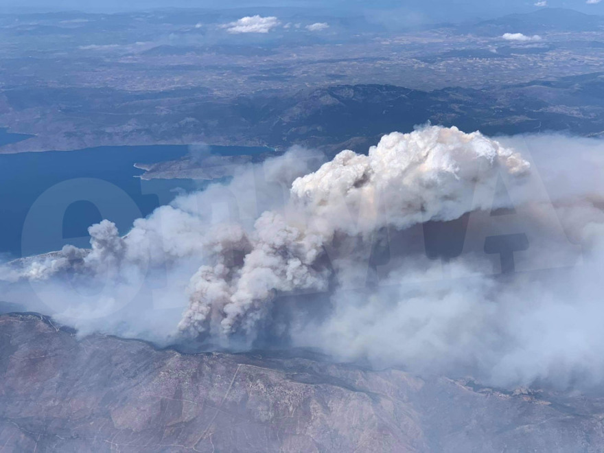 Χαρδαλιάς: Από καύση υλικών σε ελαιώνα ξεκίνησε η φωτιά στον Σχίνο