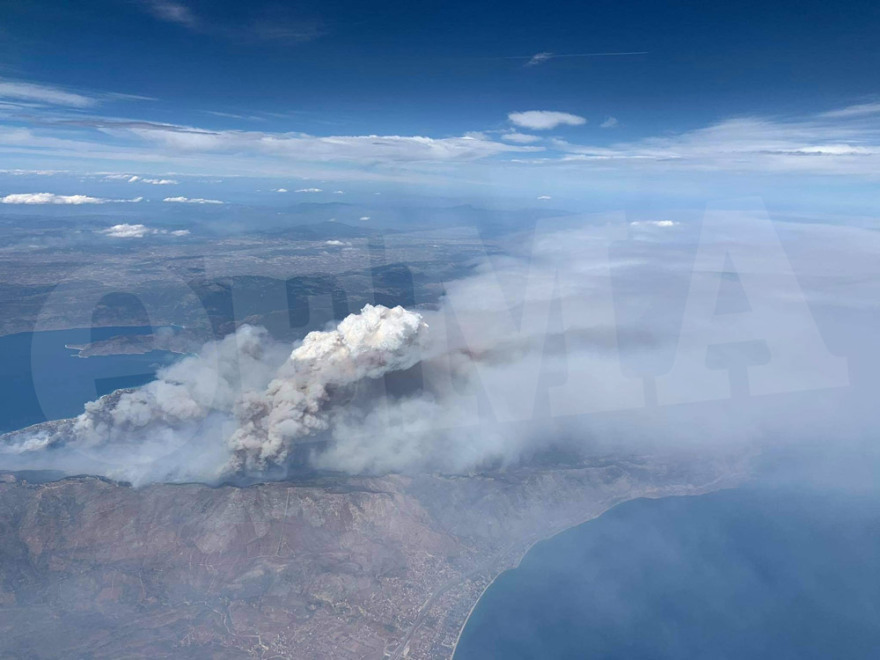Χαρδαλιάς: Από καύση υλικών σε ελαιώνα ξεκίνησε η φωτιά στον Σχίνο