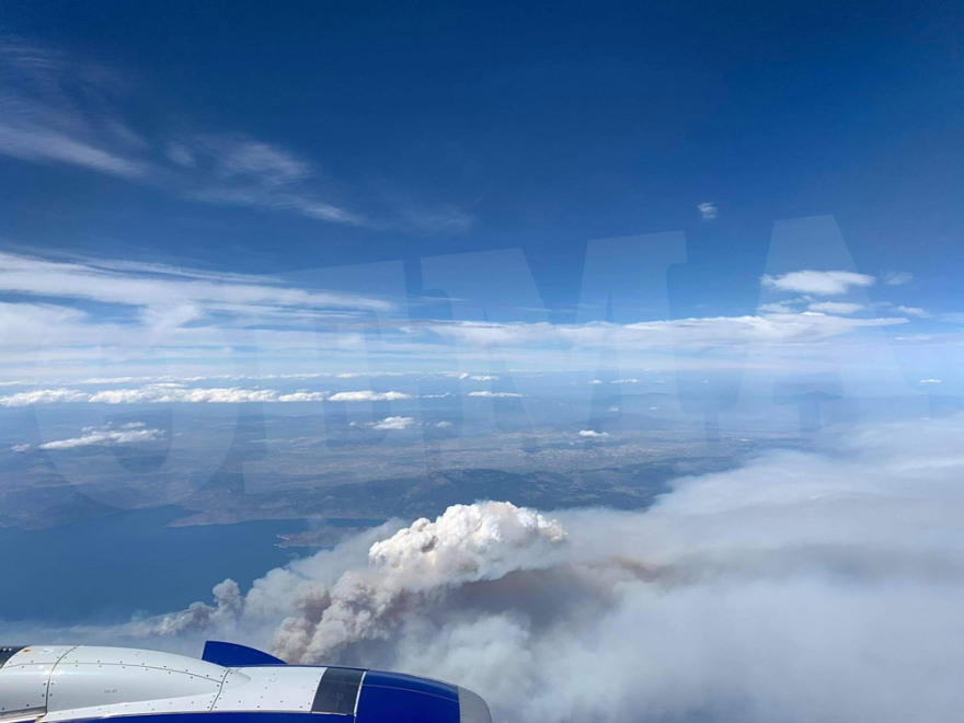 Χαρδαλιάς: Από καύση υλικών σε ελαιώνα ξεκίνησε η φωτιά στον Σχίνο