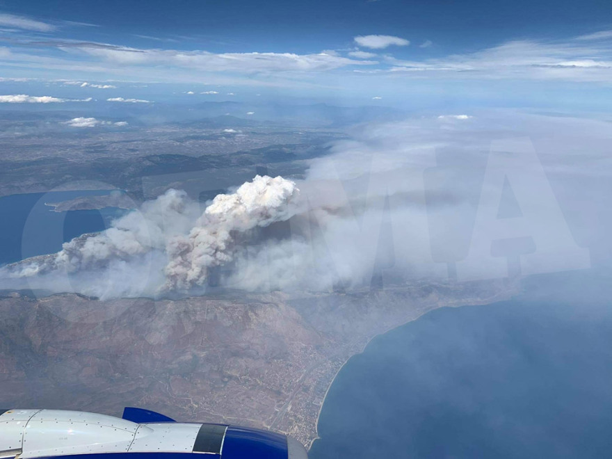 Χαρδαλιάς: Από καύση υλικών σε ελαιώνα ξεκίνησε η φωτιά στον Σχίνο