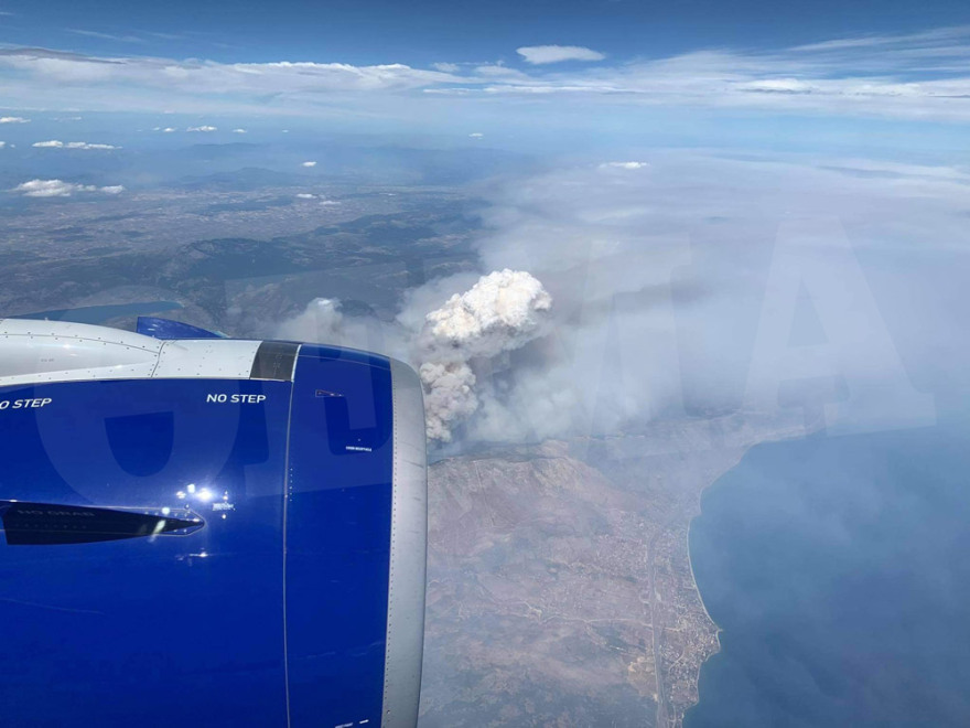 Χαρδαλιάς: Από καύση υλικών σε ελαιώνα ξεκίνησε η φωτιά στον Σχίνο