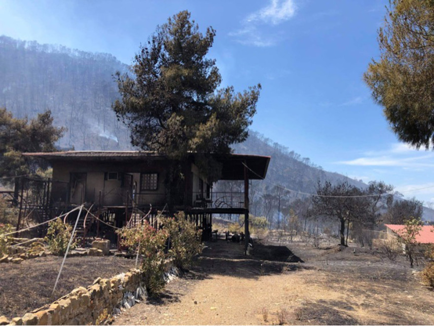 Χαρδαλιάς: Από καύση υλικών σε ελαιώνα ξεκίνησε η φωτιά στον Σχίνο