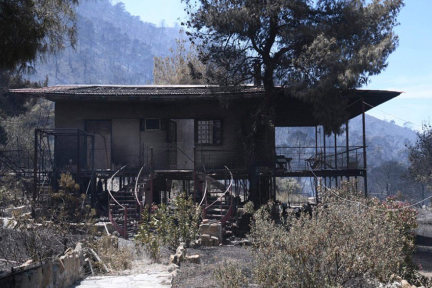 Χαρδαλιάς: Από καύση υλικών σε ελαιώνα ξεκίνησε η φωτιά στον Σχίνο