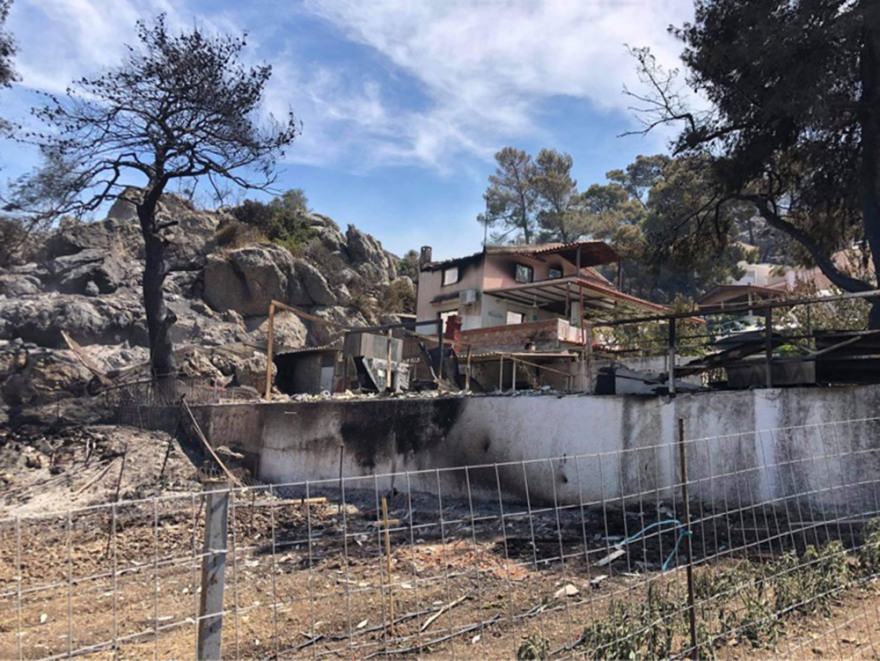 Χαρδαλιάς: Από καύση υλικών σε ελαιώνα ξεκίνησε η φωτιά στον Σχίνο