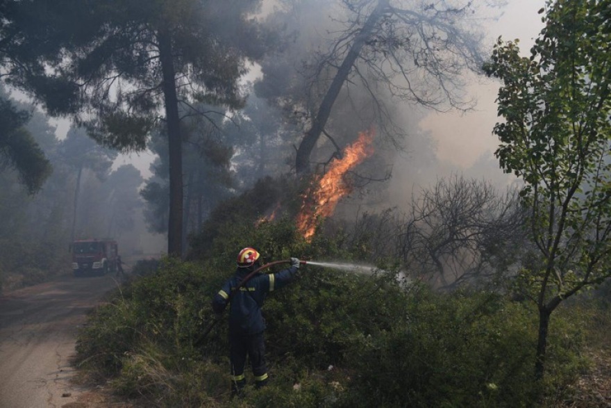 Φωτιά στον Σχίνο Κορινθίας: Δραματικές εικόνες - Εκκενώνονται άλλοι τέσσερις οικισμοί