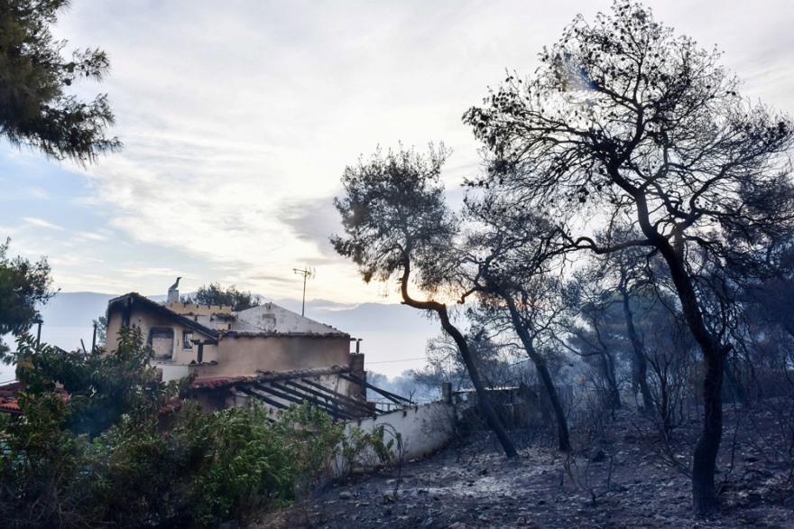 Φωτιά στον Σχίνο Κορινθίας: Εικόνες καταστροφής- Αγωνία λόγω των ισχυρών ανέμων