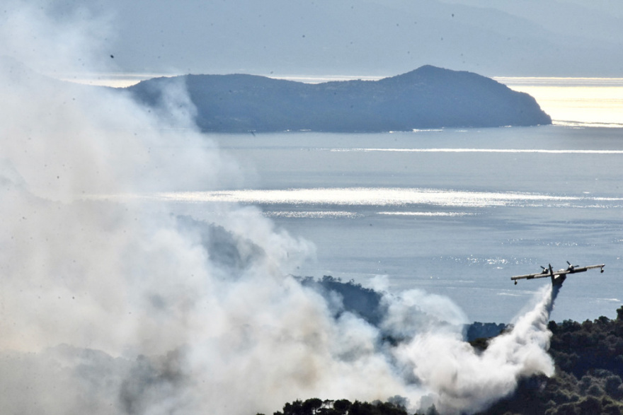 Φωτιά στον Σχίνο: Μάχη με τις αναζωπυρώσεις- Ανησυχία για τα μέτωπα σε Καλκάνι και Παπαγιαννέικα 