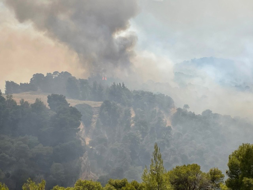 Φωτιά σε Κορινθία - Μέγαρα: Μάχη με τις αναζωπυρώσεις στο Αλεποχώρι - Διάσπαρτες εστίες σε πολλά σημεία