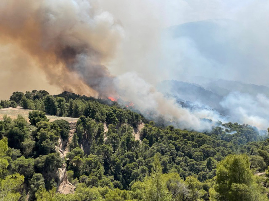 Φωτιά στον Σχίνο: Μάχη με τις αναζωπυρώσεις- Ανησυχία για τα μέτωπα σε Καλκάνι και Παπαγιαννέικα 